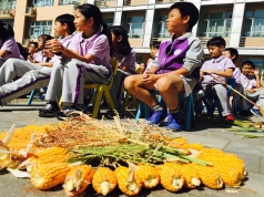 学校举行“一粒玉米的旅行” 跨学科研学活动