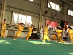 我校武术队在朝阳区2014年中小学武术比赛中取得佳绩
