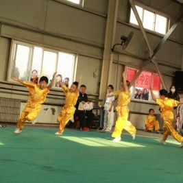 我校武术队在朝阳区2014年中小学武术比赛中取得佳绩